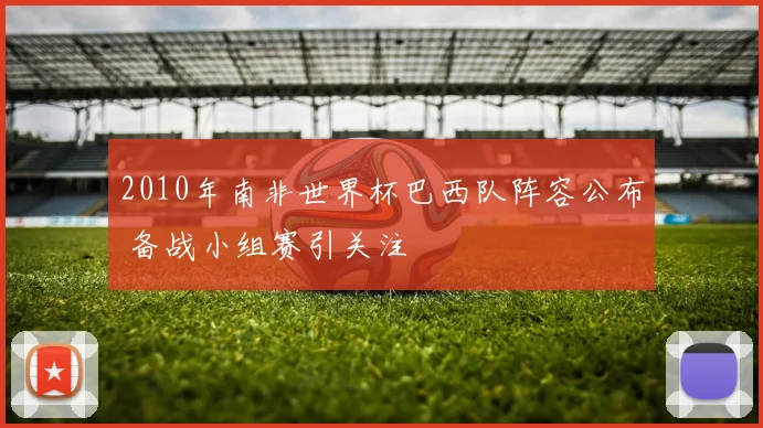 2010年南非世界杯巴西队阵容公布 备战小组赛引关注
