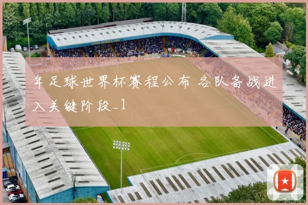 年足球世界杯赛程公布 各队备战进入关键阶段_1
